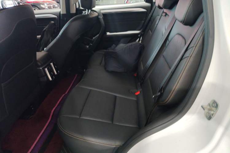 Used Haval DARGO 2021 2.0T DCT 4x4 Chinese Rural Dog Edition Left Rear Seat