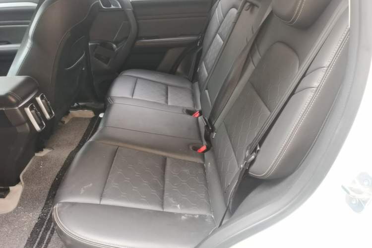 Used Haval DARGO 2021 1.5T DCT Two-Wheel Drive "Mǎquǎn" Edition Left Rear Seat