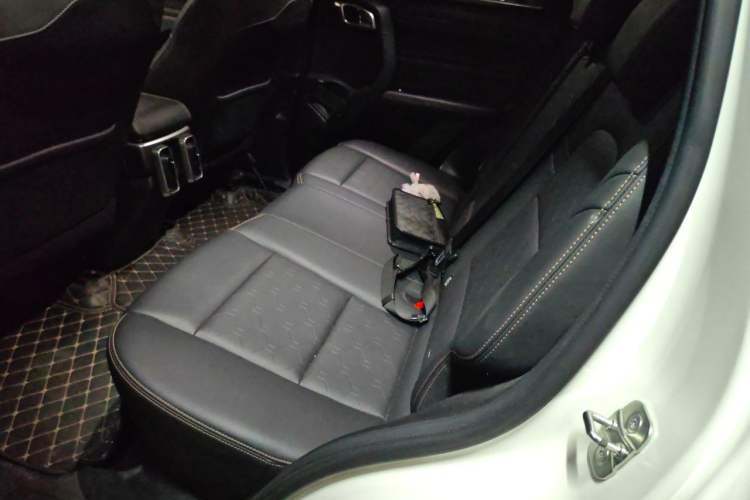 Used Haval DARGO 2021 1.5T DCT Two-Wheel Drive Labrador Edition Left Rear Seat