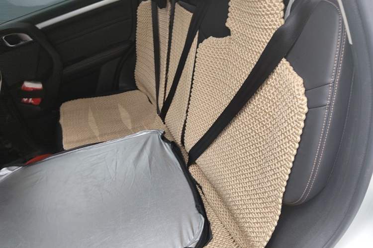 Used Haval DARGO 2021 2.0T DCT Two-Wheel Drive Chinese Mastiff Edition Left Rear Seat