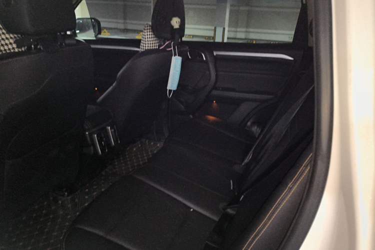 Used Haval DARGO 2021 1.5T DCT Two-Wheel Drive "Mǎquǎn" Edition Left Rear Seat
