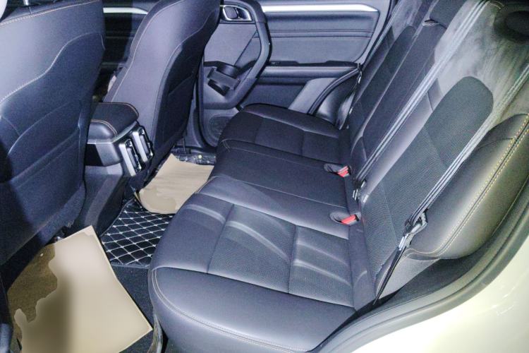 Used Haval DARGO 2021 Revised Version 2.0T DCT Four-Wheel Drive "Hao Tian Que" Edition Left Rear Seat