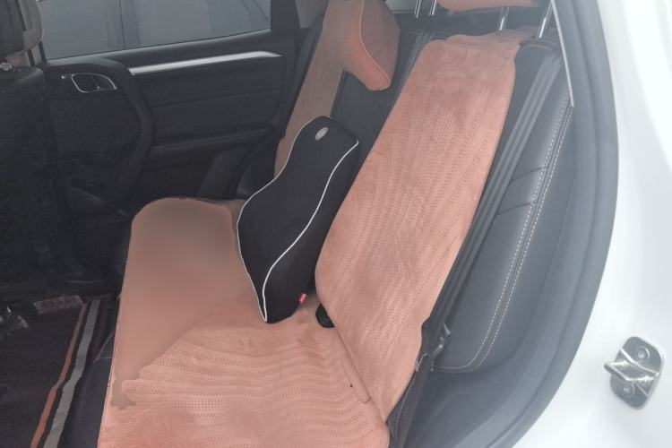 Used Haval DARGO 2021 1.5T DCT Two-Wheel Drive Border Collie Edition Left Rear Seat