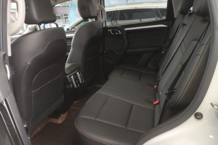 Used Haval DARGO 2021 1.5T DCT Two-Wheel Drive Border Collie Edition Left Rear Seat