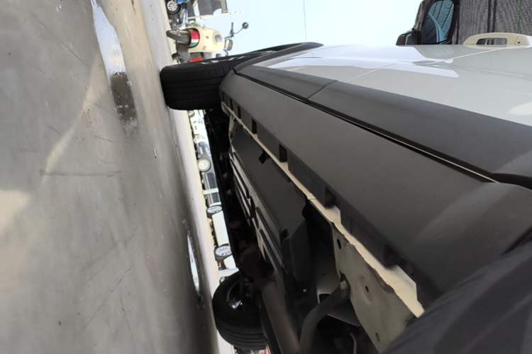 Used Haval DARGO 2021 1.5T DCT Two-Wheel Drive Border Collie Edition Left Side Sill
