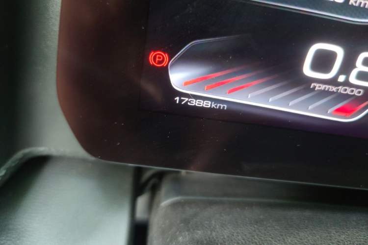 Used Haval DARGO 2021 1.5T DCT Two-Wheel Drive "Mǎquǎn" Edition Odometer Close Up