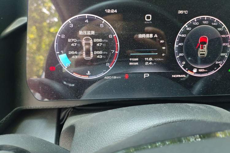 Used Haval DARGO 2021 1.5T DCT Two-Wheel Drive Border Collie Edition Odometer Close Up