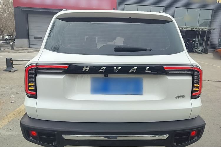 Used Haval DARGO 2021 2.0T DCT 4x4 Chinese Rural Dog Edition Rear