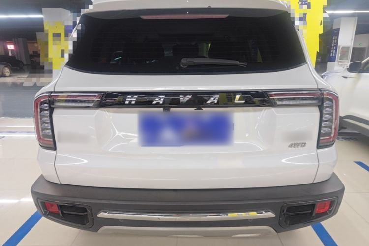 Used Haval DARGO 2021 2.0T DCT 4x4 Chinese Rural Dog Edition Rear