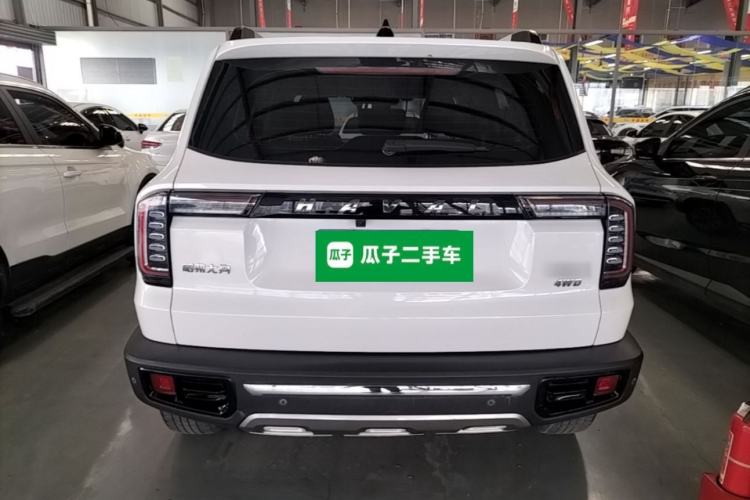 Used Haval DARGO 2021 2.0T DCT 4x4 Chinese Rural Dog Edition Rear