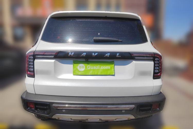 Used Haval DARGO 2021 2.0T DCT Two-Wheel Drive Chinese Mastiff Edition Rear