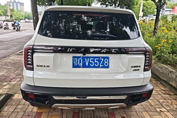 Used Haval DARGO 2021 2.0T DCT 4x4 Chinese Rural Dog Edition Rear