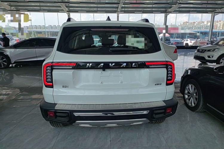 Used Haval DARGO 2021 2.0T DCT 4x4 Chinese Rural Dog Edition Rear