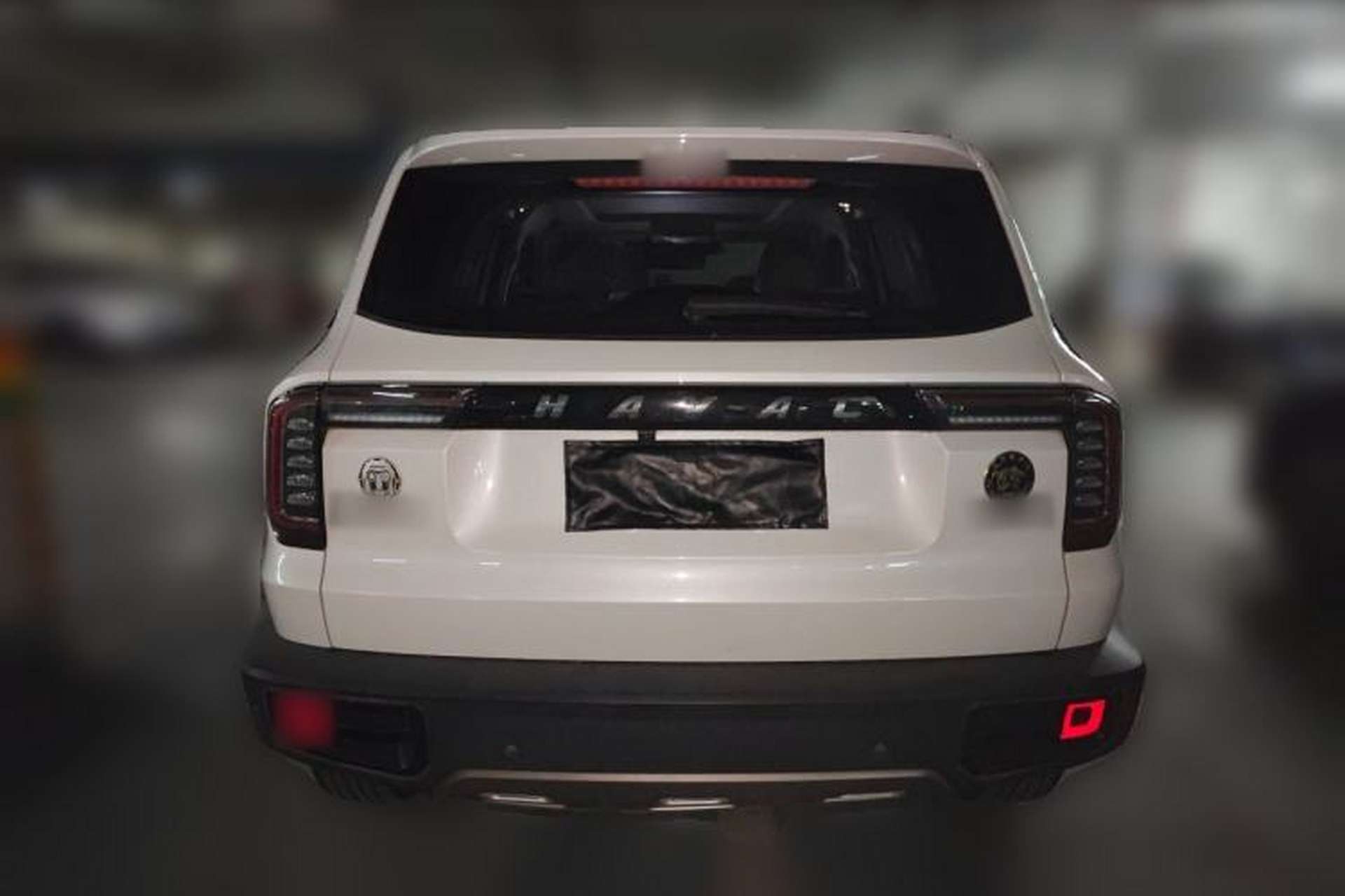 Used Haval DARGO 2021 1.5T DCT Two-Wheel Drive Border Collie Edition Rear