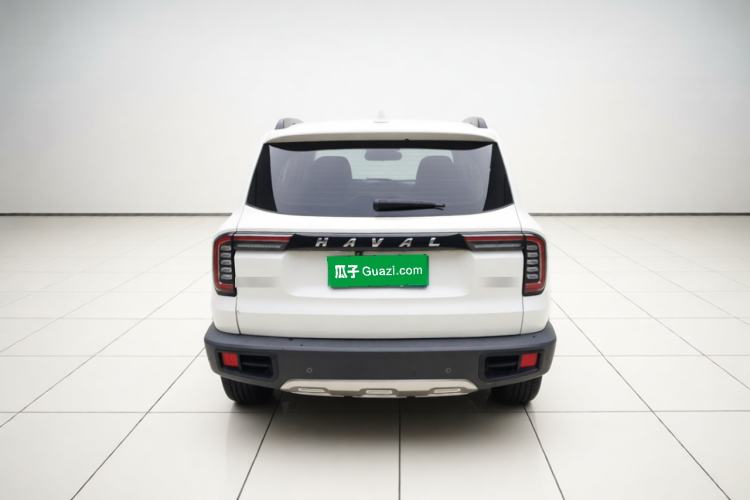 Used Haval DARGO 2021 1.5T DCT Two-Wheel Drive Border Collie Edition Rear