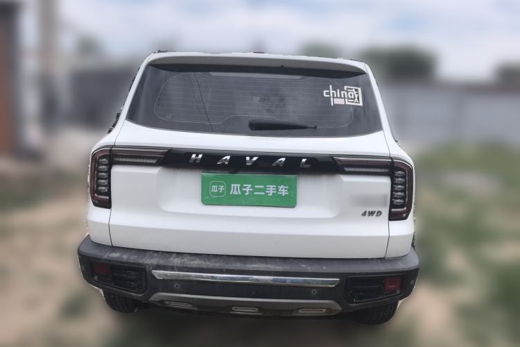 Used Haval DARGO 2021 2.0T DCT 4x4 Chinese Rural Dog Edition Rear