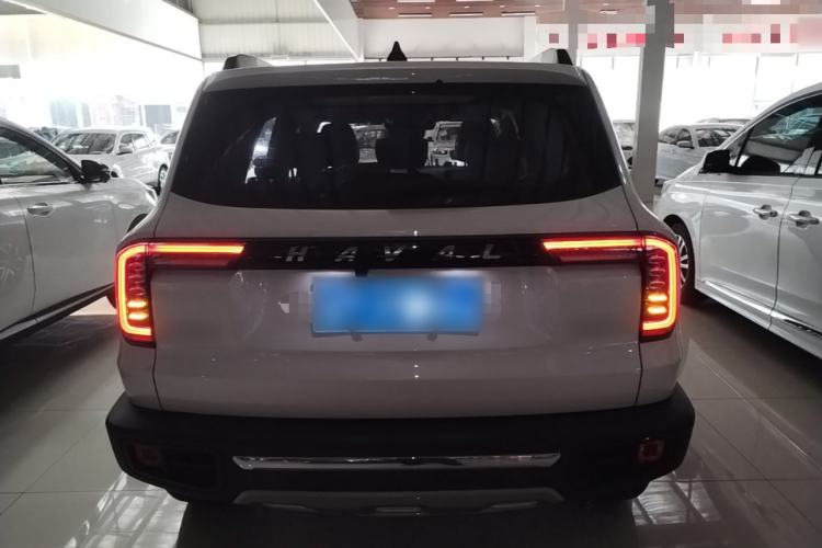 Used Haval DARGO 2021 2.0T DCT Two-Wheel Drive Chinese Mastiff Edition Rear