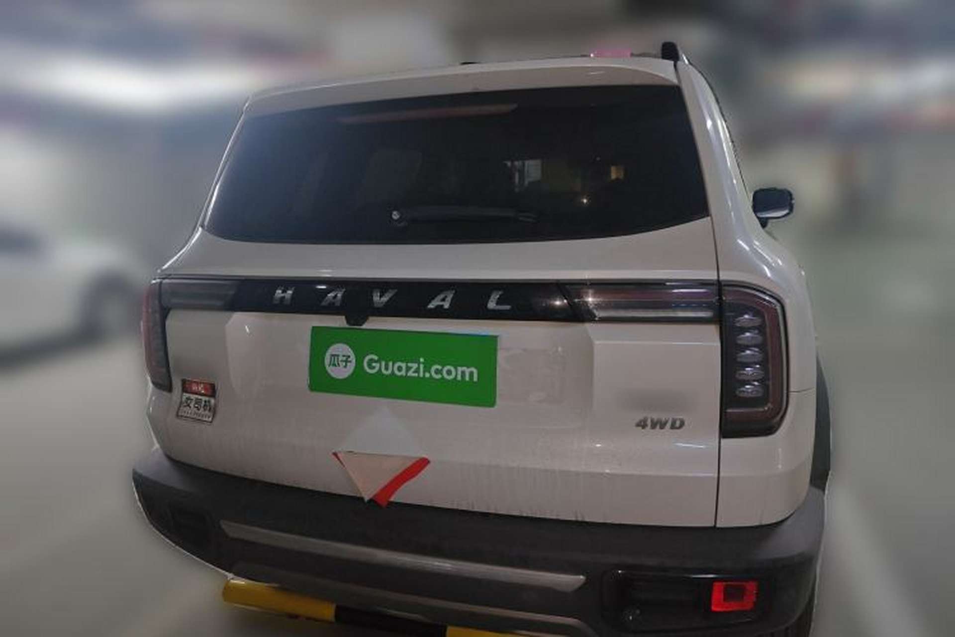 Used Haval DARGO 2021 2.0T DCT 4x4 Chinese Rural Dog Edition Rear