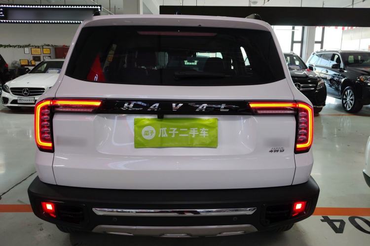 Used Haval DARGO 2021 2.0T DCT 4x4 Chinese Rural Dog Edition Rear