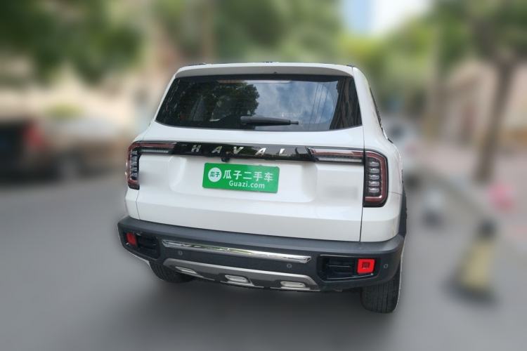 Used Haval DARGO 2021 2.0T DCT Two-Wheel Drive Chinese Mastiff Edition Rear