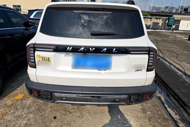Used Haval DARGO 2021 2.0T DCT 4x4 Chinese Rural Dog Edition Rear