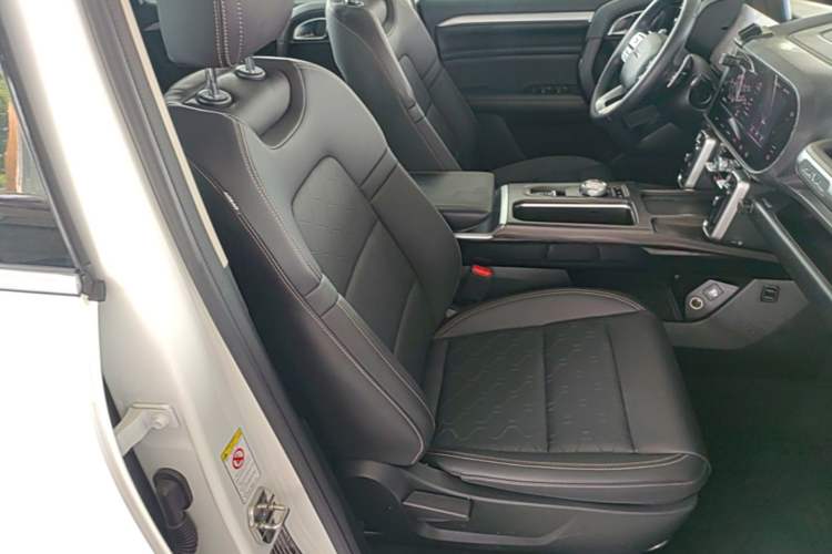 Used Haval DARGO 2021 2.0T DCT 4x4 Chinese Rural Dog Edition Right Front Seat