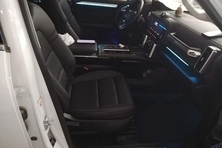 Used Haval DARGO 2021 2.0T DCT Two-Wheel Drive Chinese Mastiff Edition Right Front Seat