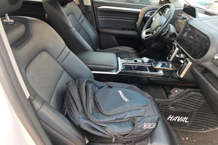 Used Haval DARGO 2021 2.0T DCT 4x4 Chinese Rural Dog Edition Right Front Seat
