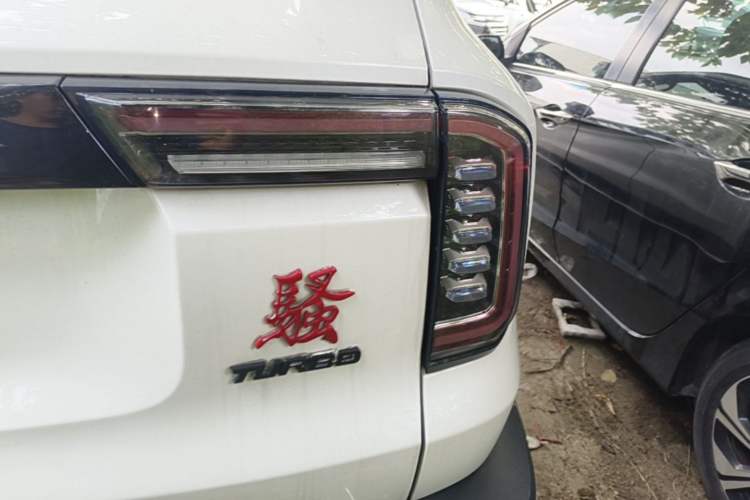 Used Haval DARGO 2021 1.5T DCT Two-Wheel Drive "Mǎquǎn" Edition Right Rear Taillight