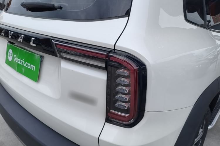 Used Haval DARGO 2021 1.5T DCT Two-Wheel Drive Border Collie Edition Right Rear Taillight