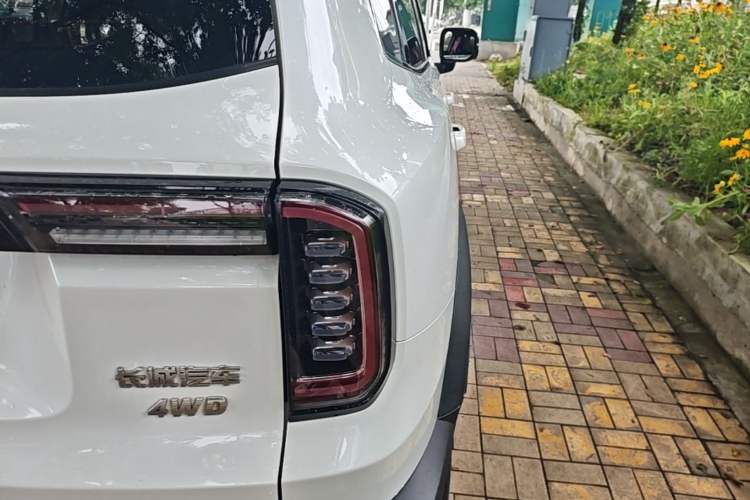Used Haval DARGO 2021 2.0T DCT 4x4 Chinese Rural Dog Edition Right Rear Taillight