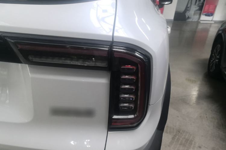 Used Haval DARGO 2021 1.5T DCT Two-Wheel Drive Labrador Edition Right Rear Taillight