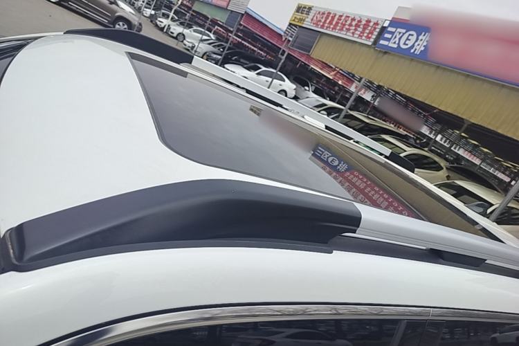Used Haval DARGO 2021 2.0T DCT 4x4 Chinese Rural Dog Edition Roof