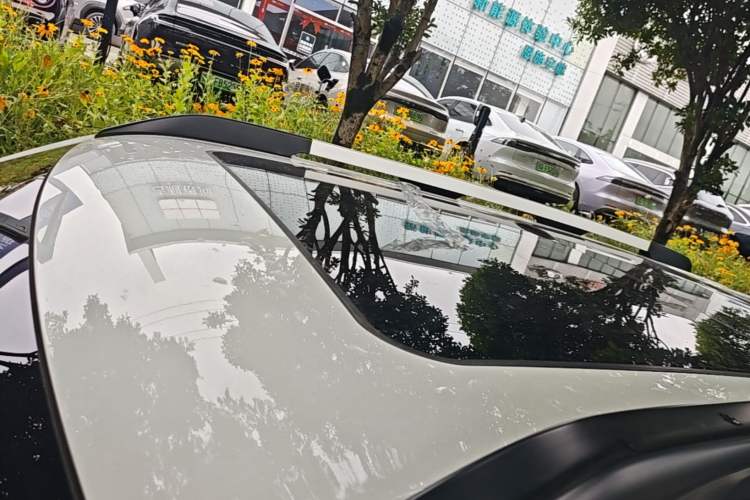 Used Haval DARGO 2021 2.0T DCT 4x4 Chinese Rural Dog Edition Roof