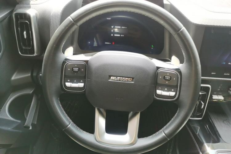 Used Haval DARGO 2021 Revised Version 2.0T DCT Four-Wheel Drive "Hao Tian Que" Edition Steering Wheel