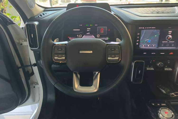 Used Haval DARGO 2021 1.5T DCT Two-Wheel Drive "Mǎquǎn" Edition Steering Wheel
