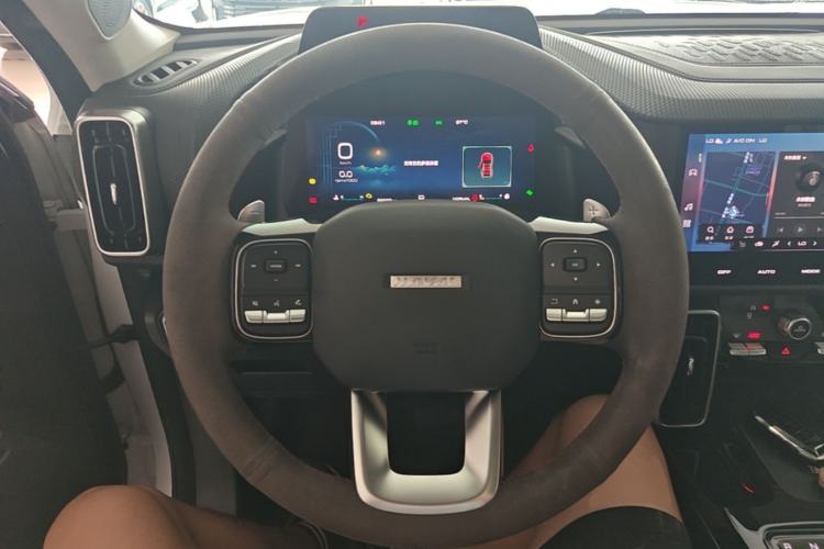 Used Haval DARGO 2021 1.5T DCT Two-Wheel Drive Border Collie - Wangcai Edition Steering Wheel