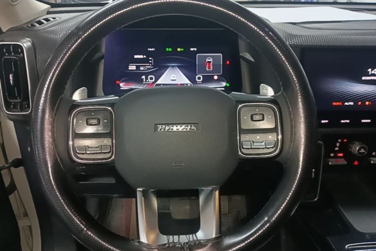 Used Haval DARGO 2021 2.0T DCT 4x4 Chinese Rural Dog Edition Steering Wheel