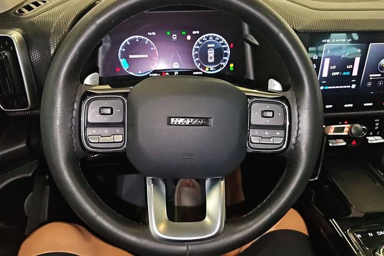 Used Haval DARGO 2021 2.0T DCT 4x4 Chinese Rural Dog Edition Steering Wheel