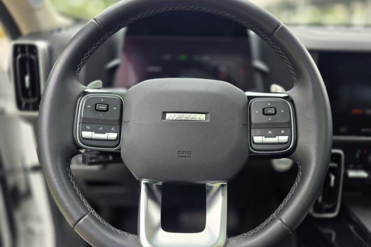 Used Haval DARGO 2021 1.5T DCT Two-Wheel Drive Border Collie - Wangcai Edition Steering Wheel