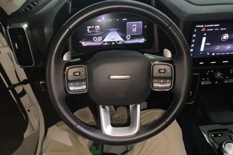 Used Haval DARGO 2021 1.5T DCT Two-Wheel Drive Border Collie - Wangcai Edition Steering Wheel