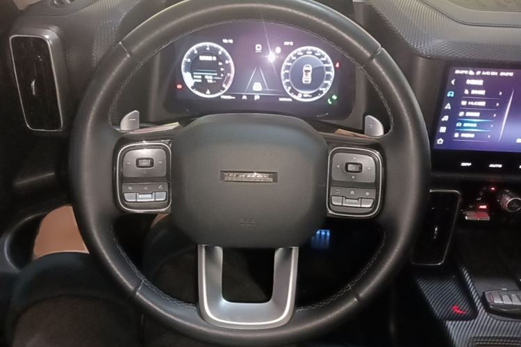 Used Haval DARGO 2021 2.0T DCT All-Wheel-Drive "Hao Tian Quan" Edition Steering Wheel