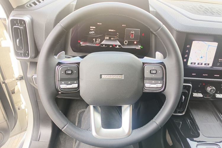 Used Haval DARGO 2021 1.5T DCT Two-Wheel Drive "Wangcai" Edition Steering Wheel
