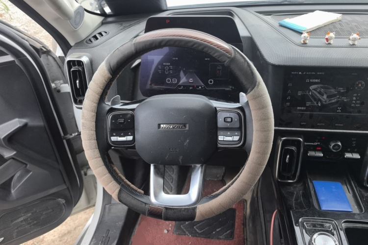 Used Haval DARGO 2021 2.0T DCT 4x4 Chinese Rural Dog Edition Steering Wheel