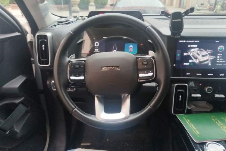 Used Haval DARGO 2021 2.0T DCT 4x4 Chinese Rural Dog Edition Steering Wheel