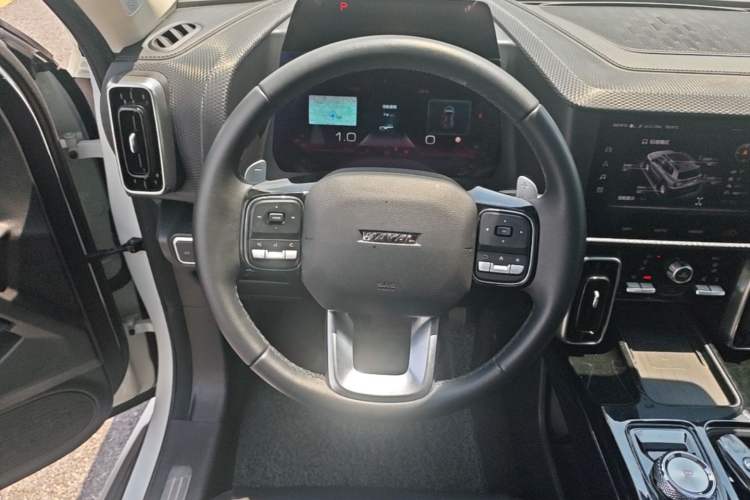 Used Haval DARGO 2021 2.0T DCT All-Wheel-Drive "Hao Tian Quan" Edition Steering Wheel