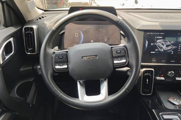 Used Haval DARGO 2021 2.0T DCT 4x4 Chinese Rural Dog Edition Steering Wheel