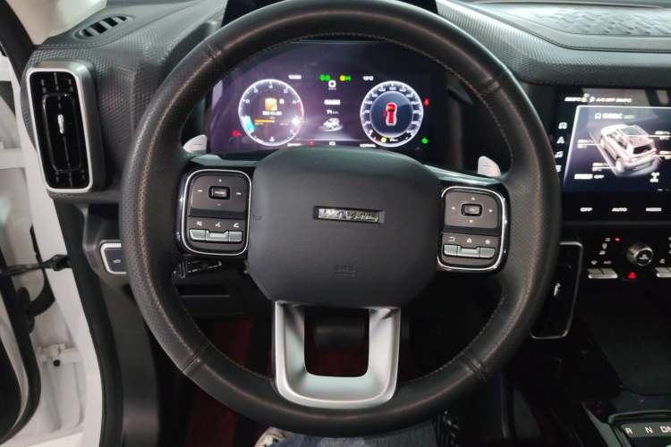 Used Haval DARGO 2021 2.0T DCT 4x4 Chinese Rural Dog Edition Steering Wheel