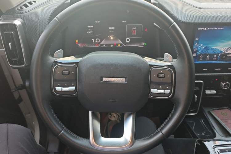 Used Haval DARGO 2021 1.5T DCT Two-Wheel Drive Border Collie Edition Steering Wheel