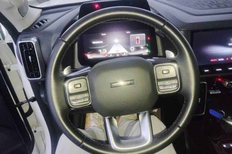 Used Haval DARGO 2021 Revised Version 2.0T DCT Four-Wheel Drive "Hao Tian Que" Edition Steering Wheel